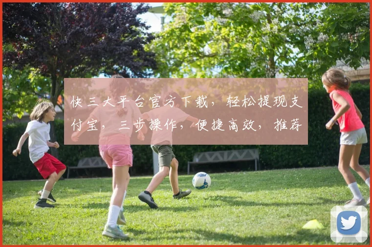 快三大平台官方下载，轻松提现支付宝，三步操作，便捷高效，推荐体验