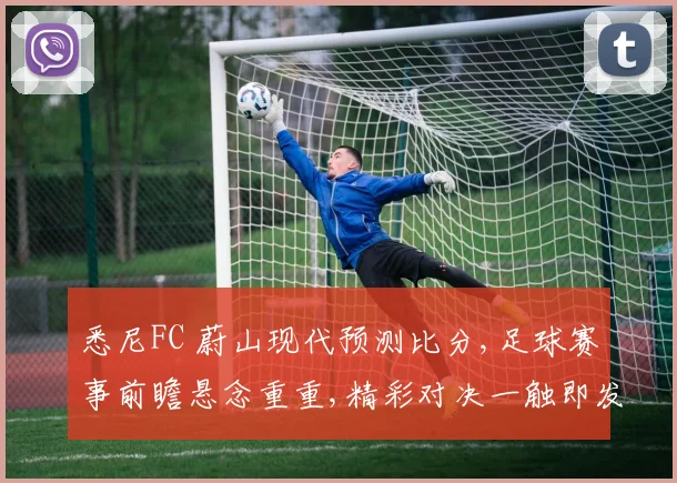 悉尼FC 蔚山现代预测比分,足球赛事前瞻悬念重重,精彩对决一触即发,拭目以待