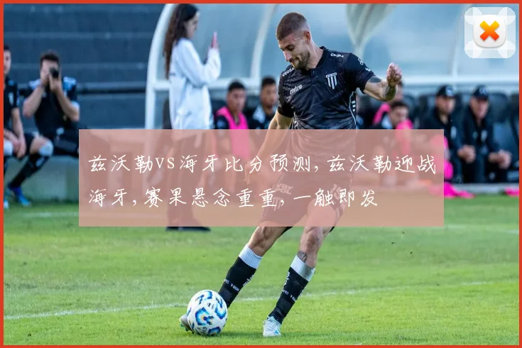 兹沃勒vs海牙比分预测,兹沃勒迎战海牙,赛果悬念重重,一触即发