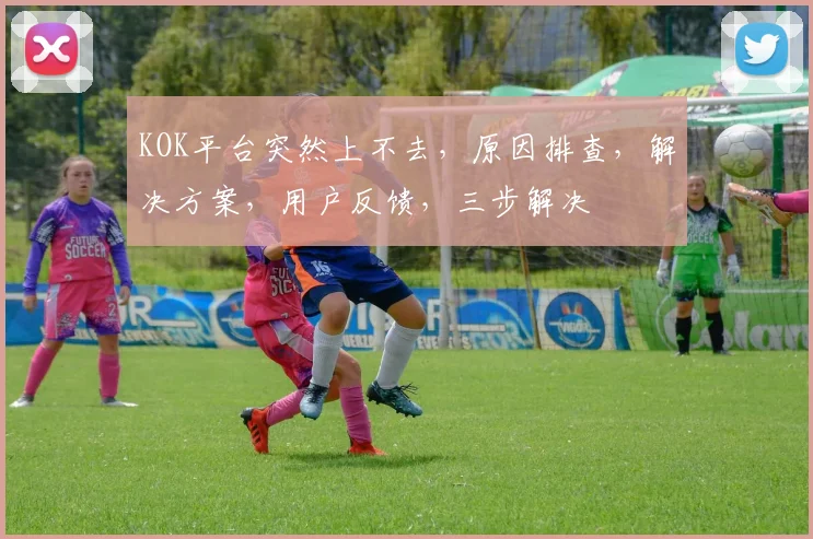 KOK平台突然上不去，原因排查，解决方案，用户反馈，三步解决
