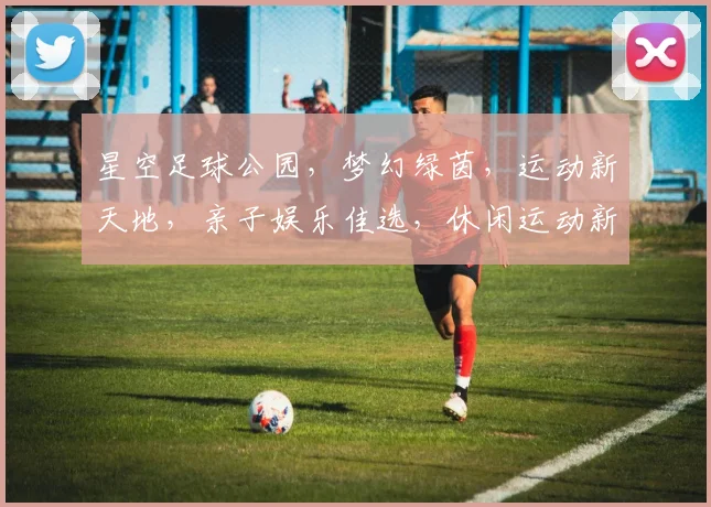 星空足球公园，梦幻绿茵，运动新天地，亲子娱乐佳选，休闲运动新潮流，体验非凡乐趣。