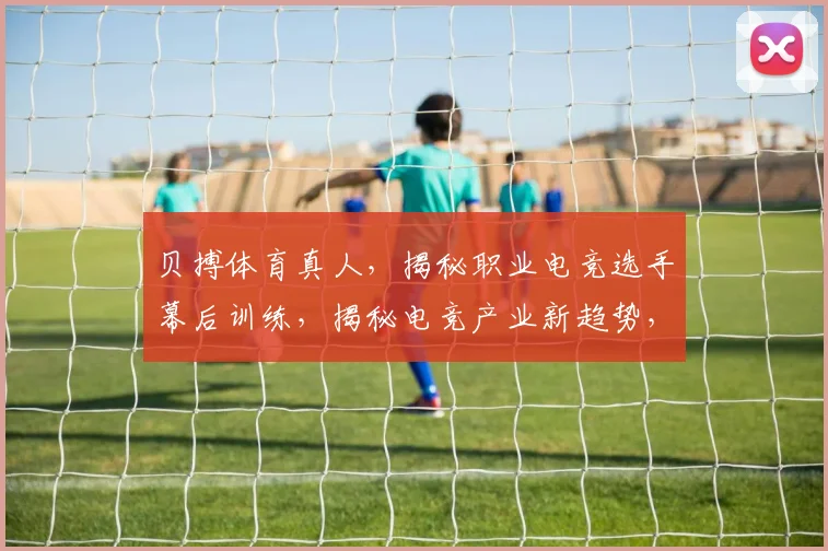 贝搏体育真人，揭秘职业电竞选手幕后训练，揭秘电竞产业新趋势，深度解析