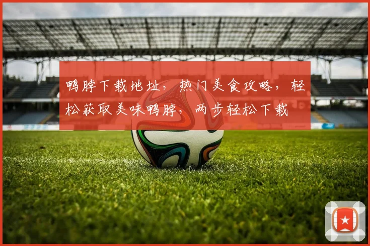 鸭脖下载地址，热门美食攻略，轻松获取美味鸭脖，两步轻松下载