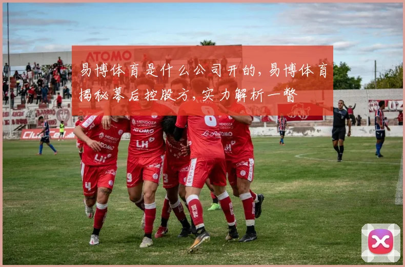 易博体育是什么公司开的,易博体育揭秘幕后控股方,实力解析一瞥